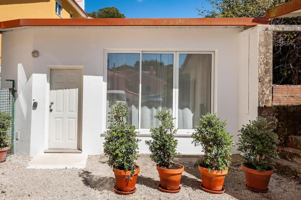 Sintra Studio Garden - Free Parking Exterior foto